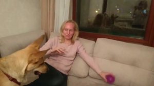 Отзыв об обучение у Натальи Севостьяновой
