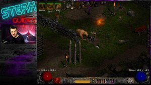 Diablo 2: Resurrected | Какой класс выбрать? Каким билдом начать? Лучшие билды для старта!