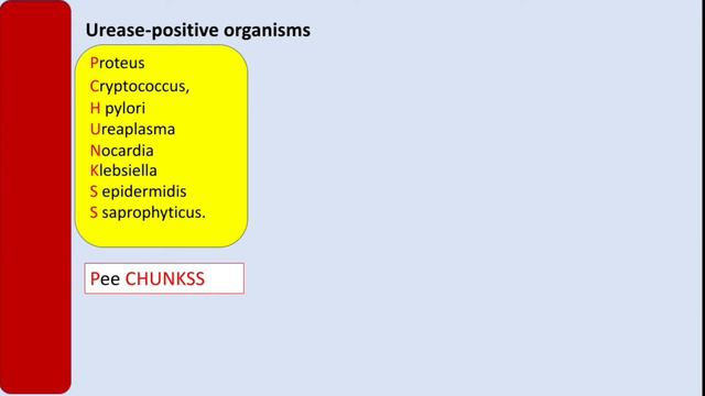 Urease-positive organisms смотреть онлайн