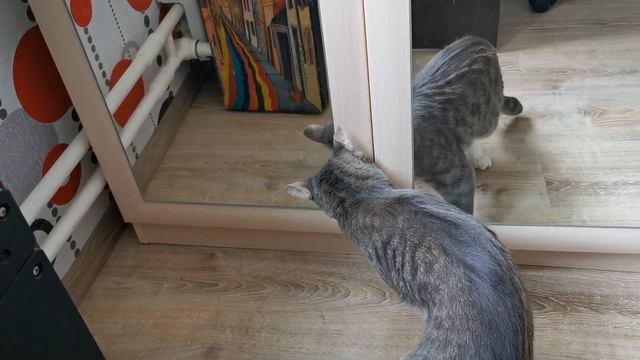 2020 за горами смотреть онлайн