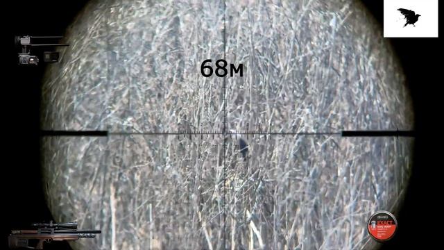 Crow hunting Кроухантинг Карррааантин!!! смотреть онлайн