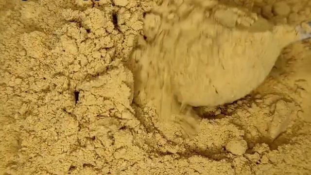 Сухой дым. Арт ВБ 98592703, Арт Озон 701634816 смотреть онлайн