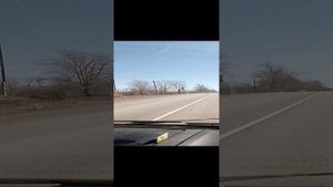 кизел пермский край