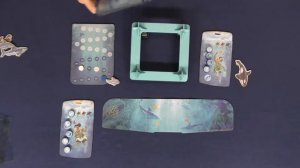 Dive Board Game Review and Walkthrough
