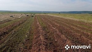 Сенокос 2022. Рулоним сено трактор Kubota X20 и китайский пресс 0850