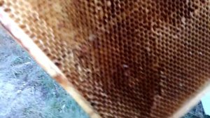 ХРАНЕНИЕ СУШИ НА УЛИЦЕ Секреты начинающим