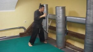 Сенчуков Ю.Ю. - Прямой удар. Биомеханика