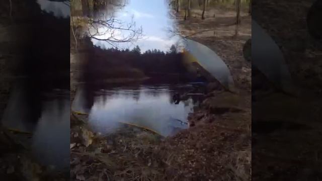 Велопоход по Мещере смотреть онлайн