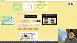 Формы естественного отбора | Элементарные эволюционные факторы | Биология 9 класс