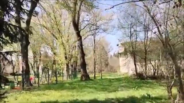 Дворец и парк Любомирских в Пшемысле №3 Немного дёгтя в бочке мёда A little tar in a barrel of hone смотреть онлайн