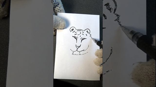 Как быстро нарисовать тигра. смотреть онлайн