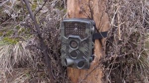 Отзыв на Фотоловушку и Аккумуляторы с Алиэкспресс.