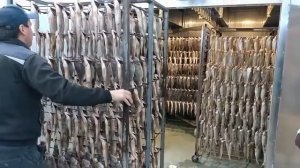 Вяление рыбы за 10 часов