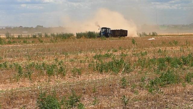 вывоз навоза на бывшее рапсовое поле 2019 смотреть онлайн