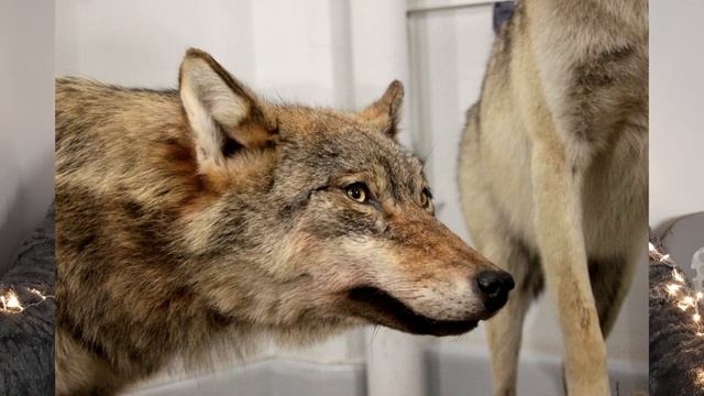 10 фактов о Сахалине смотреть онлайн