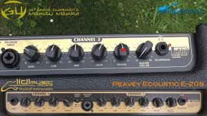 0337 Peavey Ecoustic E208