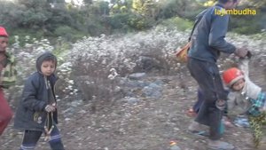 honey hunting practice in the rural village || lajimbudha || Nepal ||