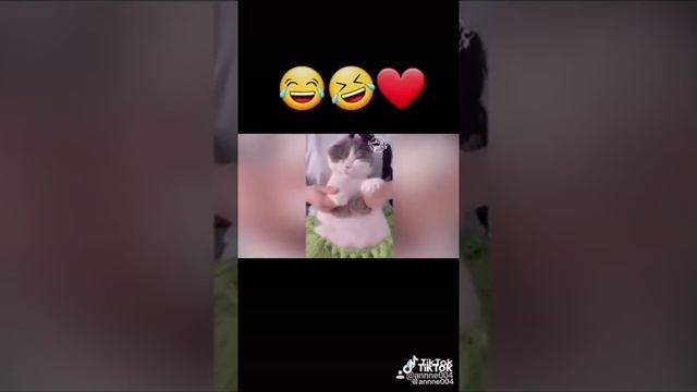 смешные видео про животных / из тик тока смотреть онлайн