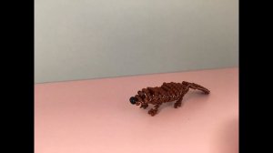 Знакомство с подписчиками