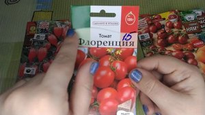 Томаты на 2024 год