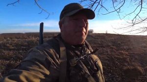 И снова привада. Охота на лису 2023 11 09