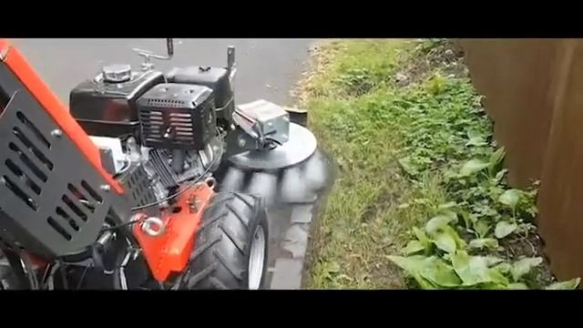 Как быстро убрать сорняки с плитки