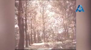 ДАВЛАТМАНД ХОЛОВ СОЛХОИ СССР