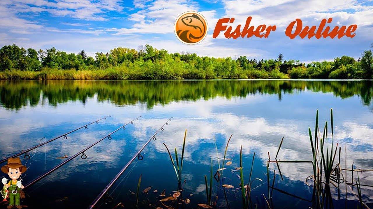 Fisher Online# на ночь глядя на рыбалку