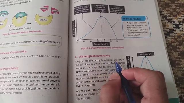 Factors that affects the rate of enzyme action Biology Grade #9 Unit #6 Enzymes KPK Textbook in Urd смотреть онлайн
