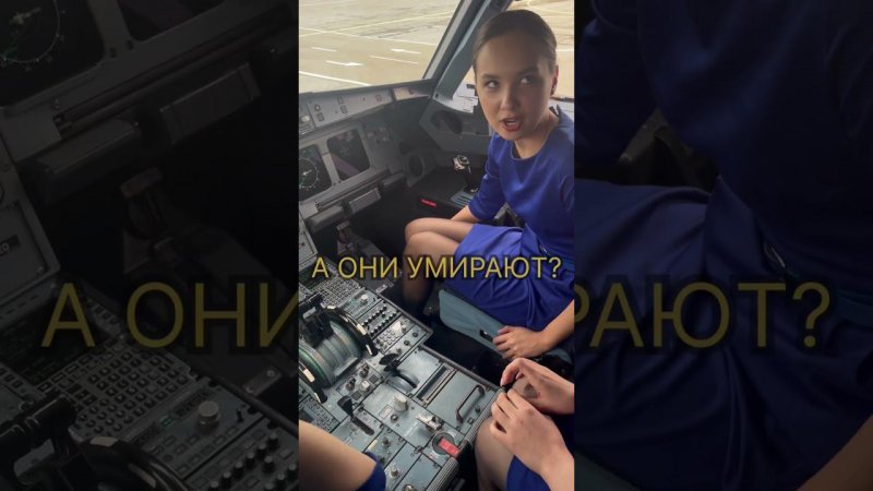 Девочки такие девочки  #aviation #airbus #pilot