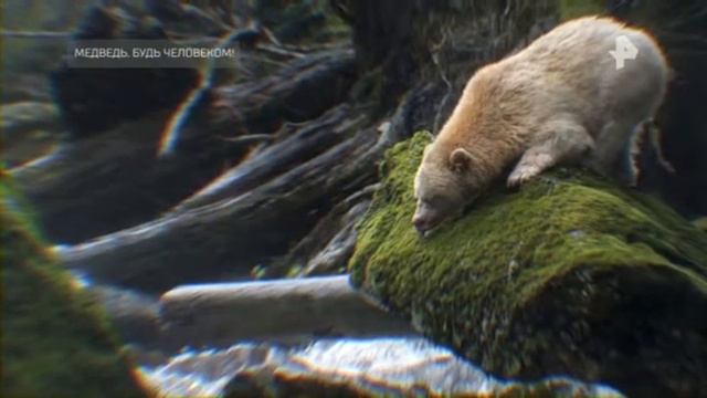 Самые шокирующие гипотезы 15 02 2021 смотреть онлайн