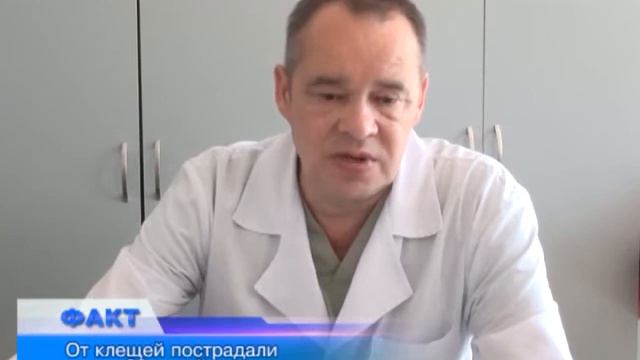 20 детей были доставлены в Областную больницу с жалобами на укусы клещей смотреть онлайн