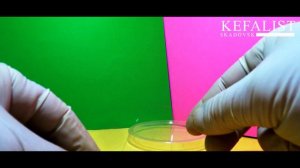 СНСТИ НА КЕФАЛЬ! СНАСТЬ НА ХЛЕБ. На что клюёт кефаль? РЫБАЛКА НА КЕФАЛЬ - КРЮЧКИ ТРОЙНИКИ