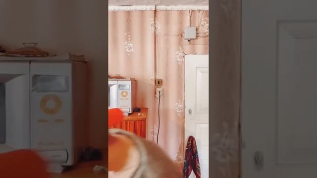 Детство с Батей--_shorts прикол 2022 смотреть онлайн