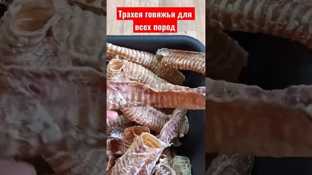 Трахея говядина для всех пород лакомства для собак