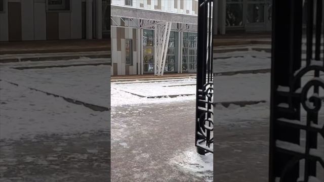 Загс Домодедово Парк елочки видеосъёмка