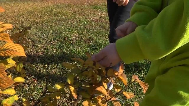 Социальный ролик о арт-объектах Благовещенска смотреть онлайн