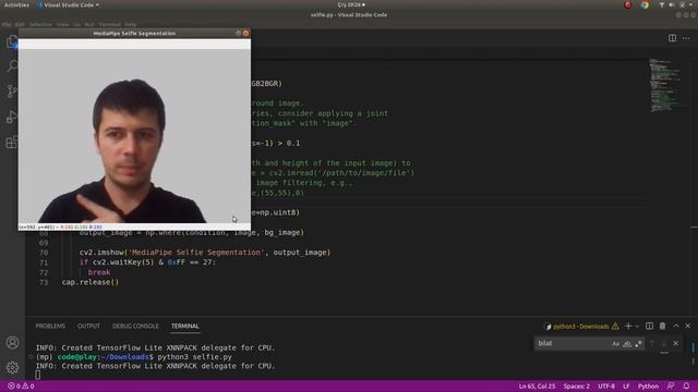 Selfie Segmentation with Mediapipe & Python | Background Subtraction смотреть онлайн