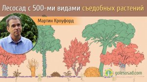 Лесосад с 500 видами съедобных растений!