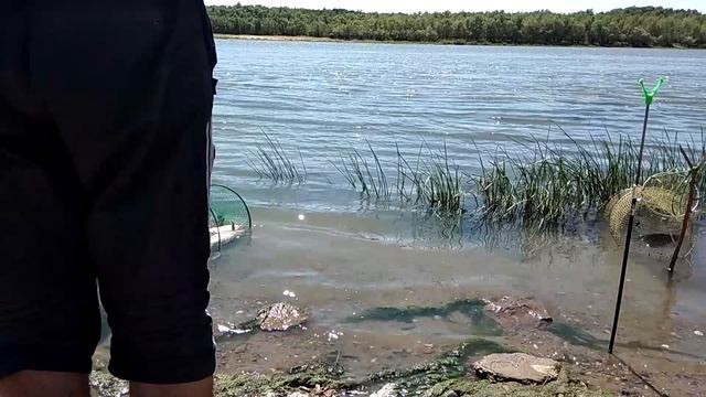 р.Ахтуба последний день ловли на фидер.с.Селитренное(Харабалинский р-он).) смотреть онлайн