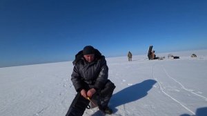 Рыбалка на Белом озере. Дождался! Ловим судака на жерлицы.