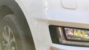 Как очистить автомобиль от мошек