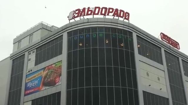 «Эльдорадо» – магазин бытовой техники.