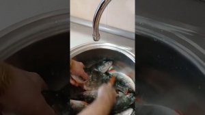 Чудо рыбочистка