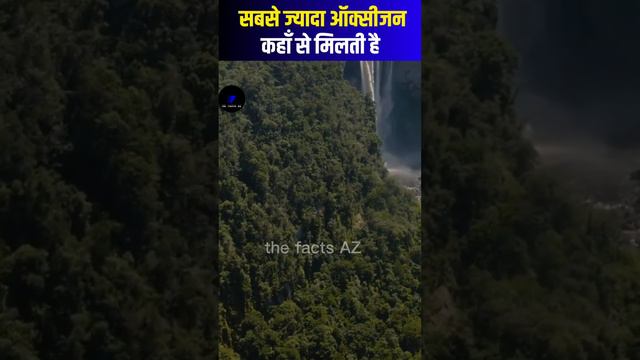 Amazon Forest #ytfeed #viral #facts #shortvideo #trending #shortsyt