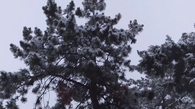 Ахр ес инчпес (инопланетянин) смотреть онлайн