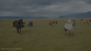 Расслабляющая музыка ? 12 часов расслабляющей фортепианной музыки