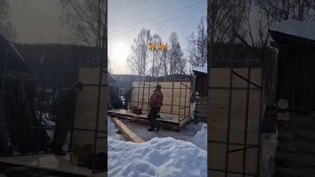 Собирают вольер для собак часть 1 #алтай #алабаи #собаки #вольер #стройка