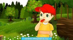 Научите ребенка правилам поведения в лесу