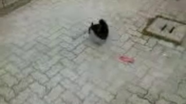 vibo valentia volooooo смотреть онлайн